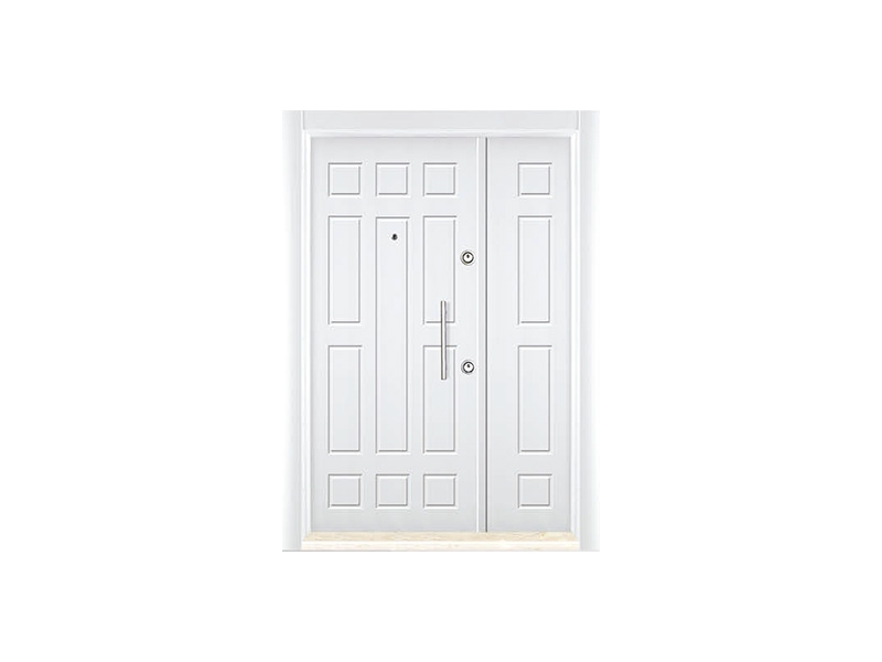 S1601 Sac Panel Çelik Kapı
